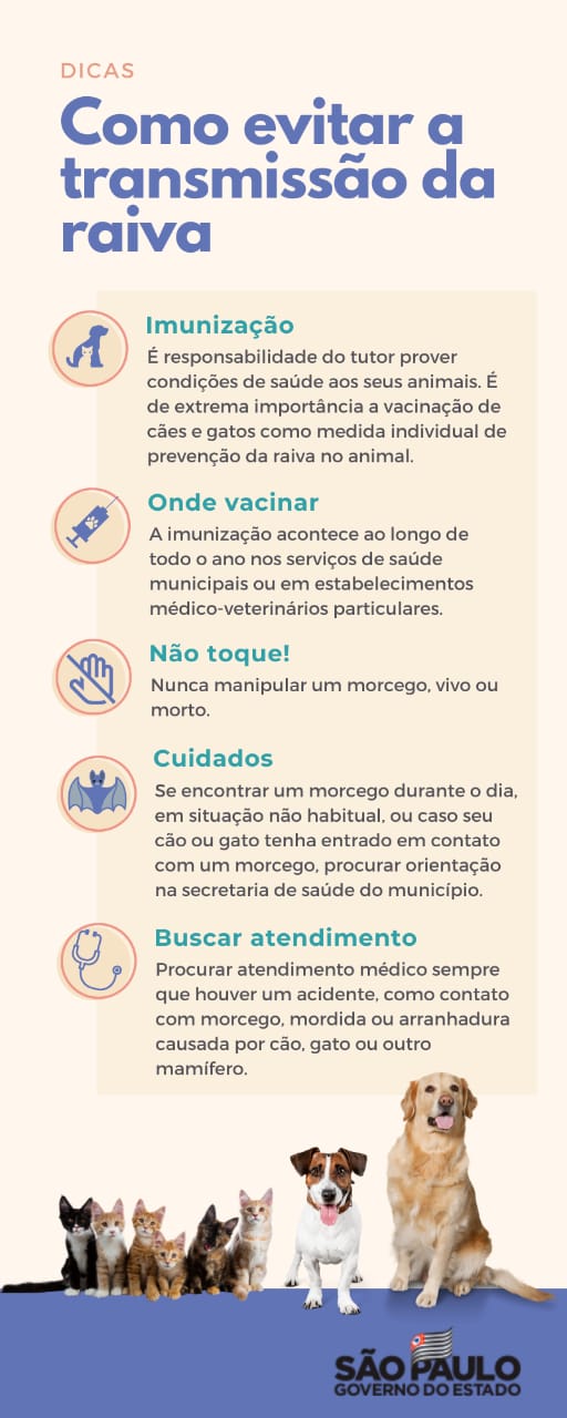 TextoDescrição gerada automaticamente